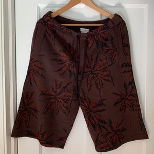 Dries van noten burgundy palm shorts